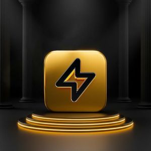 Ladygworld Enterprise